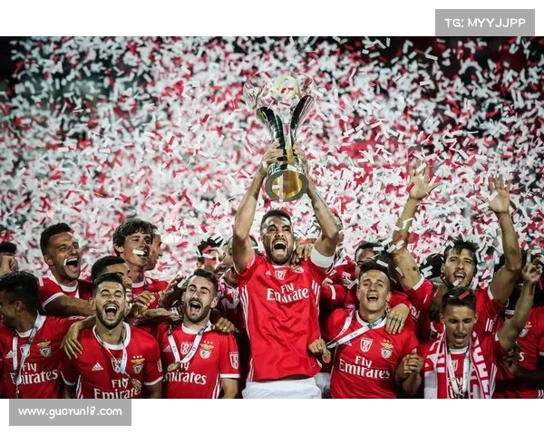 全面梳理葡萄牙境内各级别职业与业余足球球队详尽名单全集汇编录